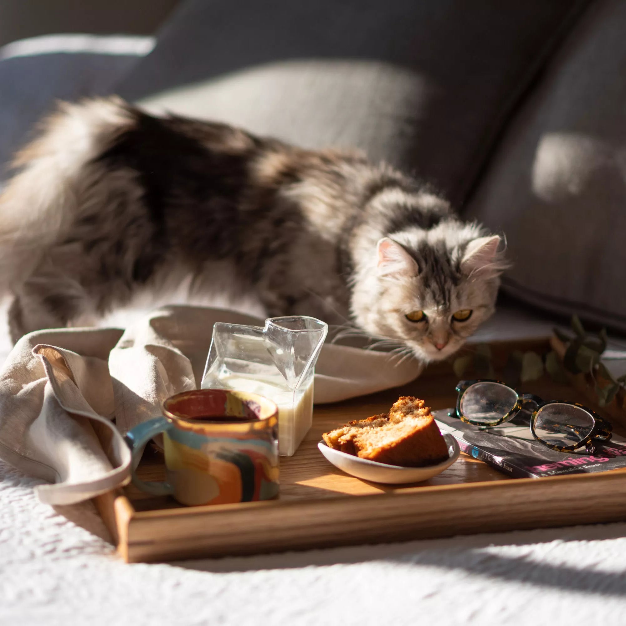 A cat is sitting behind a tray with food and drinks on a bed. A decorative tray styled with books, a ceramic vase, and fresh greenery, perfect as a wooden breakfast-in-bed tray or a coffee table tray.