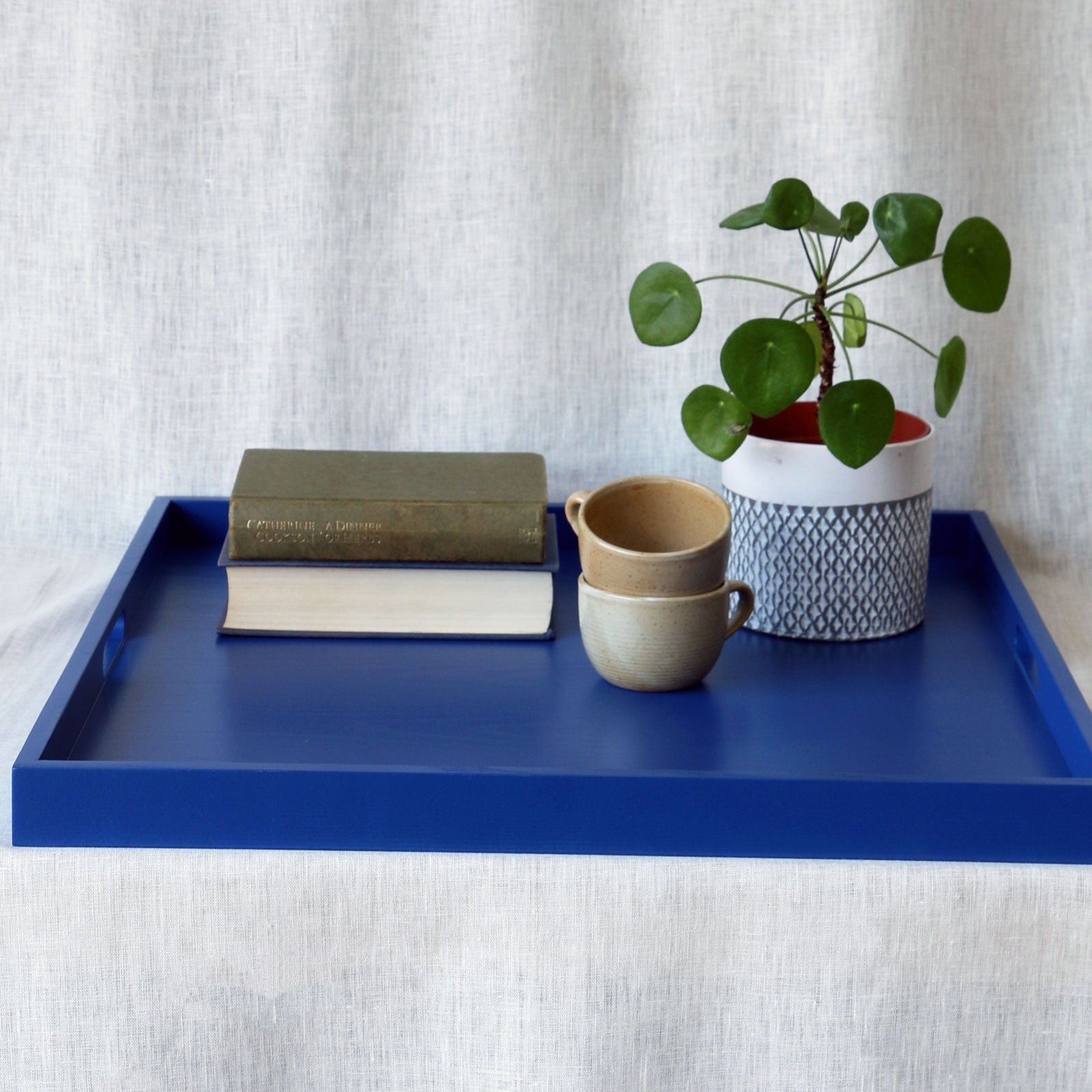 Blue tray with a book, cup, and plant on a white surface with a white curtain background